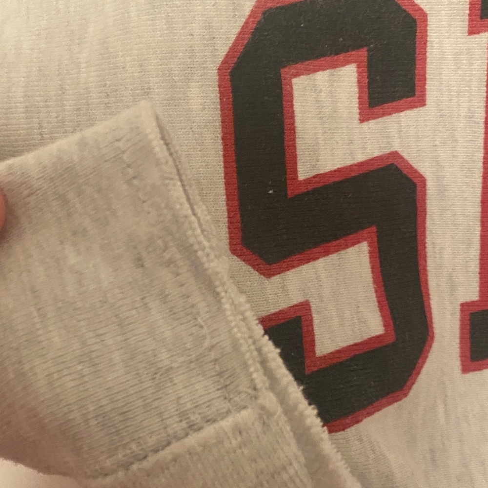 Champion Gray CROP SDSU Sweatshirt - Picture 3 of 7